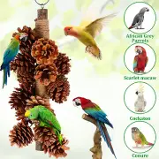 Bird Toys with 18 Pine Cones Natural Wooden Parrot Toys Bird Parrot Chewing Toy₡