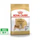 【ROYAL 皇家】柴犬成犬專用乾糧S26（4kg）（預購商品）