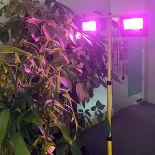 ♞﹍植物燈 室內陽光補光燈 花卉盆栽燈 多臺燈 太陽燈 室內節能燈泡省電太陽能led植物生長燈補光花卉蔬菜多太陽光戶外全