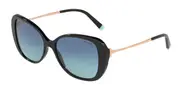 TIFFANY AND CO-0TF4156F-80019S-5516-SUNGLASSES