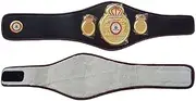 WBA World Boxing Champion Ship Replica Boxing Belt Adult Size Replica