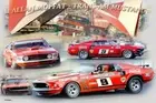 Collage of the Allan Moffat Trans Am Mustang PHOTO PRINT MOTOR RACING BATHURST