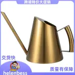 14OZ/400ML 小噴壺室內不銹鋼室內植物噴壺長嘴(金色).HELENBESS