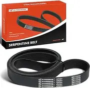 Engine Serpentine Drive Belt Compatible with Blue Bird & Freightliner & Kenworth Cars - All American RE, B2, Century Class, FB65, FL50, FL60, FL70, FS65, MT45, C500, T400, T600A, T800 & More