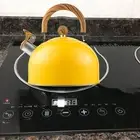Whistling Kettle Coffee Kettle Cookware for Stovetops Gas Electric Induction