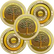 5Pcs Fruit of the Spirit Christian Challenge Coin, Galatians 5:22-23 Jesus God Empowerment Prayer Token, Art Pocket Bible Verses Gold Coin, Religious Gifts for Men Women
