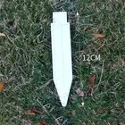 White Edgings Garden Picket Fence Ornamental Grass Lawn Flowerbeds Plant