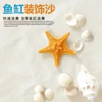 在飛比找淘寶網優惠-魚缸底砂細白沙子底沙石造景沙天然河沙菲律賓流沙鋪底石水族裝飾