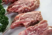 在飛比找Yahoo!奇摩拍賣優惠-【牛羊豬肉品系列】紐西蘭法式小羔羊肩排(8支)/約515g±