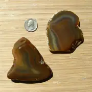 2 Agate Geode Rock Slices Thick Cut Polished Brown Crystals Translucent Banding