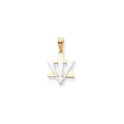 14k Two-tone Gold Fancy Star of David w/Shin Pendant
