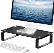 Computer Monitor Stand Riser with Dual Metal Frames for Computer Screen,Laptop,P