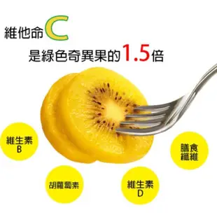 免運!【緁迪水果】紐西蘭Zespri 黃金奇異果金圓頭 18-22顆 / 原裝箱 18-22顆