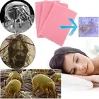 Dust Mite Killing Pad Anti-mite Pad Cushion For Home Hotel Killing Small Worms