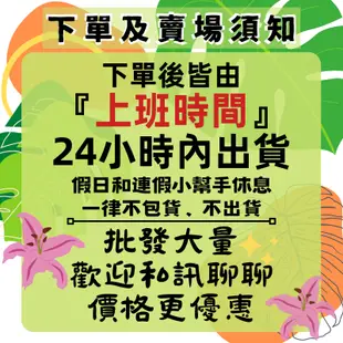 【登山杖橡膠腳套】 圓形杖頭 橡膠頭  耐磨腳套 子彈頭登山杖腳套 圓型杖頭 拐杖頭 杖尖保護套