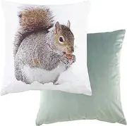 [Evans Lichfield] Photo Squirrel Polyester Filled Cushion, Multi, 43 x 43cm