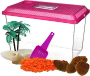 All in One Starter Kit Hermit Crab Habitat Supplies, DIY Terrarium Pack With1 Ga