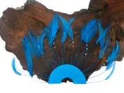 1 Piece - Blue Half Beaded Pinwheel Stripped Rooster Hackle Feather Pads Hat