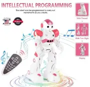 RC Robot Programmable Intelligent Walk Sing Dance Smart Robot Kids Toy Gift US