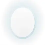 LED Wall Mirror Round Anti-Fog Bathroom 70cm