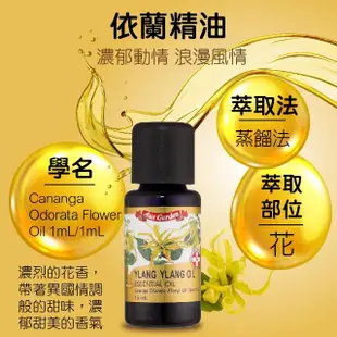 【Ausgarden 澳維花園】依蘭精油16ml(花中之花又稱香水樹)