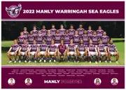 Manly Warringah Sea Eagles NRL RUGBY TEAM POSTER, PANTHERS,STORM EELS, ROOSTERS
