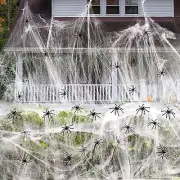 Stretchable Halloween Spider Web and Spiders - 1200 SqFt - 60 Spiders