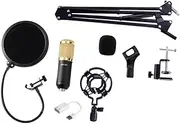 OFFIGAM Bm Broadcasting Condenser Microphone Kit with Shock Mount and Wind Filter for Recording Suitable for Studios and Home Use Black Gold