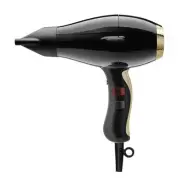 - 3900 Healthy Ionic Ceramic Powerful Professional Hair Dryer - Black/Gold, 1...