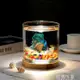 魚缸 燈光創意加厚魚缸透明玻璃斗魚缸小型觀賞辦公室客廳桌面孔雀魚缸 （下單贈送禮品 量大聯繫客服可優惠） 交換禮物全館免運