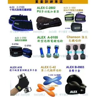 (布丁體育)公司貨附發票 ALEX 沙包型加重器(抽取式)  腕力強化 訓練下肢肌耐力 手腳皆適用 C-4904