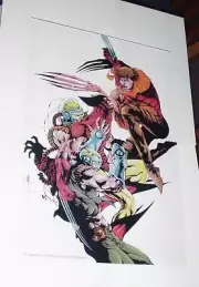 Wolverine Poster #46 vs Lady Deathstrike Reavers Jae Lee