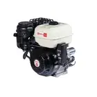 Engine Complete Zanetti ZBM420C3EV 420 Cc Tree Conical Of 22,16 Electrical