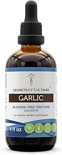 Garlic Tincture Alcohol-Free Liquid Extract, Organic Garlic (Allium sativum) Dried Powder (4 FL OZ)