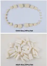 Dental Full Denture False Teeth Study Model For Preparation Practice A/C 1Set