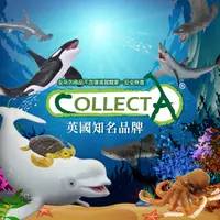 在飛比找蝦皮購物優惠-【MRW】CollectA  白鯨 巨齒鯊 幼殺人鯨 鯊人鯨