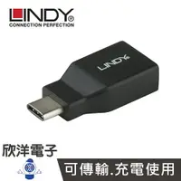 在飛比找樂天市場購物網優惠-※ 欣洋電子 ※ LINDY林帝 USB 3.2 Gen2 