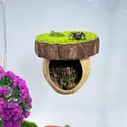 Jumping Spider Hideout, Magnetic Habitat to Hide Jumping Spiders, Spider Climbin