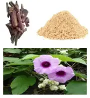 Organic VIDHARA Mool Churna | Argyreia Speciosa Pure Ayurvedic Herbal Extract