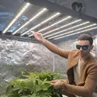 FD6500 Spider with Samsung LED Grow Light Lamp Full Spectrum Indoor Hydroponics