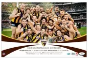 HAWTHORN HAWKS AFL PREMIERS CELEBRATION PHOTO GRAND FINAL HODGE RIOLI ROUGHEAD