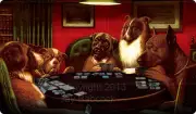 Dogs Playing Magic - vinyl game mat