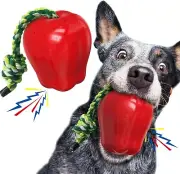 Dog Rope Fetch Exercise Squeak Toy for Medium/Large Aggressive Chewers