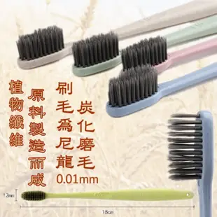 easy 小麥桿竹炭牙刷/環保無毒可分解小刷頭牙刷/超細軟毛深度清潔 成人兒童適用 (0.9折)