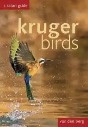 Kruger Birds: A Safari Guide by van den berg: New