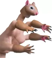 Squirrel Finger Puppet Set, Animals Puppet Show Theater Props, Novelty Toys Weir