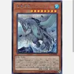 【楓卡舖】遊戲王 RC03-JP008 海龜壞獸 加美西耶勒 (半鑽)搜 RC02-JP020