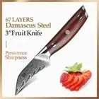 Paring Knife 67 Layers Damascus Steel Full Tang Wood Handle Peeling Fruit Slice