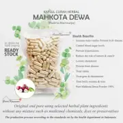 CAPSULES Phaleria Macrocarpa Mahkota Dewa NATURAL ORGANIC HERBAL 100-500 Gram