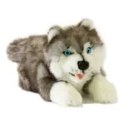 Bocchetta Plush Toys Marbles Husky Puppy Dog